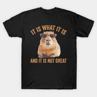 It Is What It Is And It Is Not Great Capybara T-Shirt